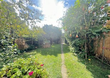 IMG_9018.JPG - Porzione di casa Pietrasanta - foto 4