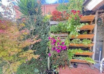 IMG_9021.JPG - Porzione di casa Pietrasanta - foto 6