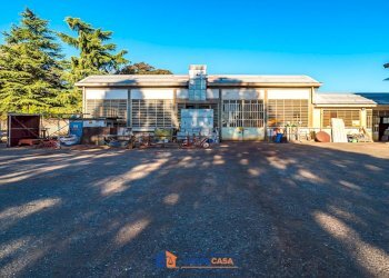 Capannone Manta - foto 7