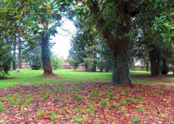 Dettagli - Stabile - Palazzo via Carenzi, 9, Ponte dell'Olio - foto 28