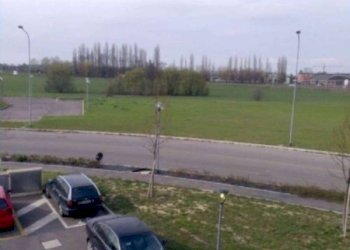 Vista - Ufficio Castenaso - foto 5