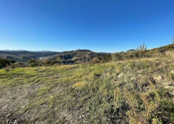 Terreno - Villa Bologna (zona Colli) - foto 14