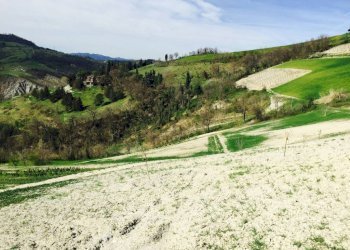 Terreno - Villa Bologna (zona Colli) - foto 16