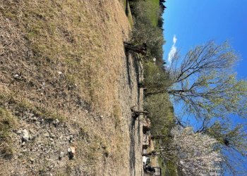 Terreno - Villa Bologna (zona Colli) - foto 17