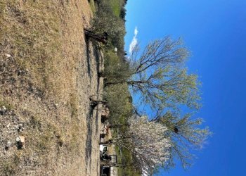 Terreno - Villa Bologna (zona Colli) - foto 18