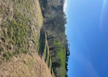 Terreno - Villa Bologna (zona Colli) - foto 19