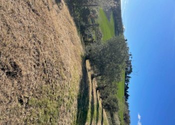 Terreno - Villa Bologna (zona Colli) - foto 20