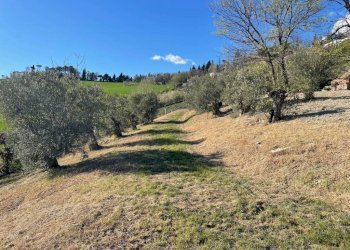 Terreno - Villa Bologna (zona Colli) - foto 21