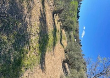 Terreno - Villa Bologna (zona Colli) - foto 22