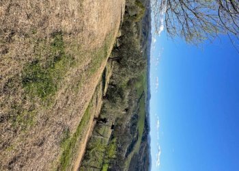 Terreno - Villa Bologna (zona Colli) - foto 24