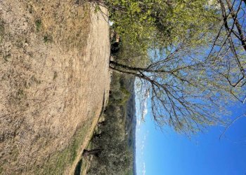 Terreno - Villa Bologna (zona Colli) - foto 25