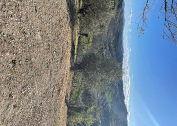 Terreno - Villa Bologna (zona Colli) - foto 26