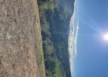 Terreno - Villa Bologna (zona Colli) - foto 27