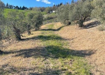 Terreno - Villa Bologna (zona Colli) - foto 19