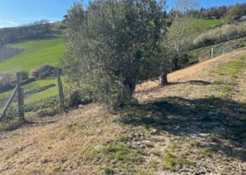 Villa Bologna (zona Colli) - foto 20