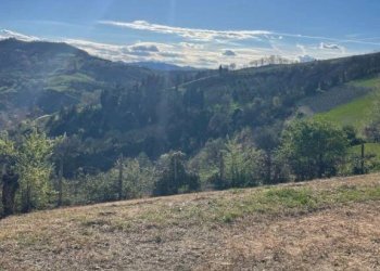 Terreno - Villa Bologna (zona Colli) - foto 21