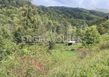 Terreno - Rustico Limone Piemonte - foto 4