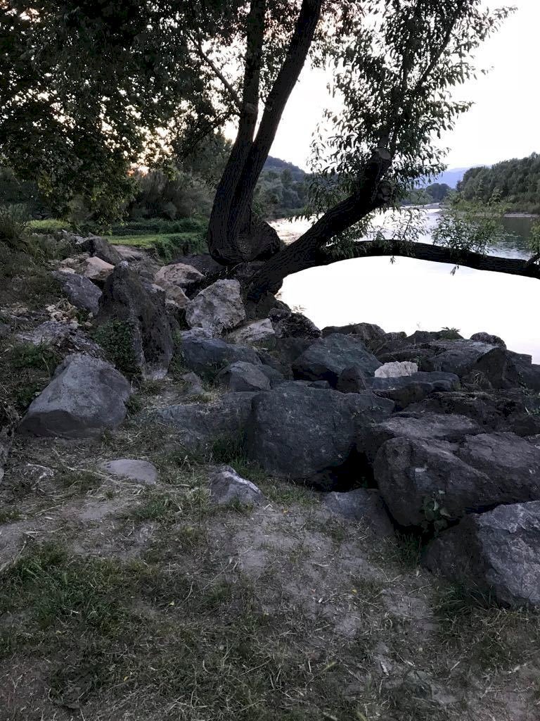 Romito.jpg - Agricultural land Arcola - photo 1