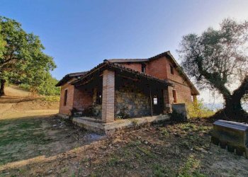 IMG-20240907-WA0038.jpg - Casale Via Orvieto 1, Baschi - photo 3