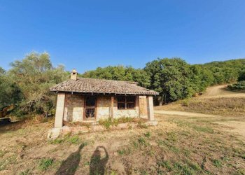 IMG-20240907-WA0034.jpg - Casale Via Orvieto 1, Baschi - photo 5