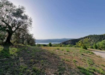 IMG-20240907-WA0039.jpg - Casale Via Orvieto 1, Baschi - photo 11