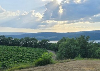 CASALE VISTA LAGO (17).jpg - Casale Via Orvieto 1, Baschi - photo 14