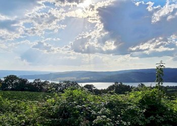 CASALE VISTA LAGO (4).jpg - Casale Via Orvieto 1, Baschi - photo 26