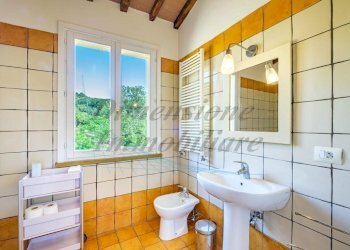 WhatsApp Image 2024-10-08 at 19.09.35 (7) (FILEmin - Casa indipendente Via Roma 40, Castellina Marittima - foto 18