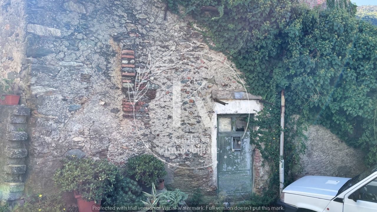 IMG-20241007-WA0007.jpg - Rustic Via Santa Margherita, Vado Ligure - photo 2