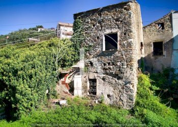 IMG-20241007-WA0008.jpg - Rustic Via Santa Margherita, Vado Ligure - photo 3