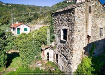 IMG-20241007-WA0013.jpg - Rustic Via Santa Margherita, Vado Ligure - photo 5