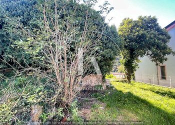 IMG-20241007-WA0037.jpg - Rustic Via Santa Margherita, Vado Ligure - photo 10