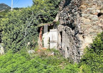 IMG-20241007-WA0082.jpg - Rustic Via Santa Margherita, Vado Ligure - photo 21