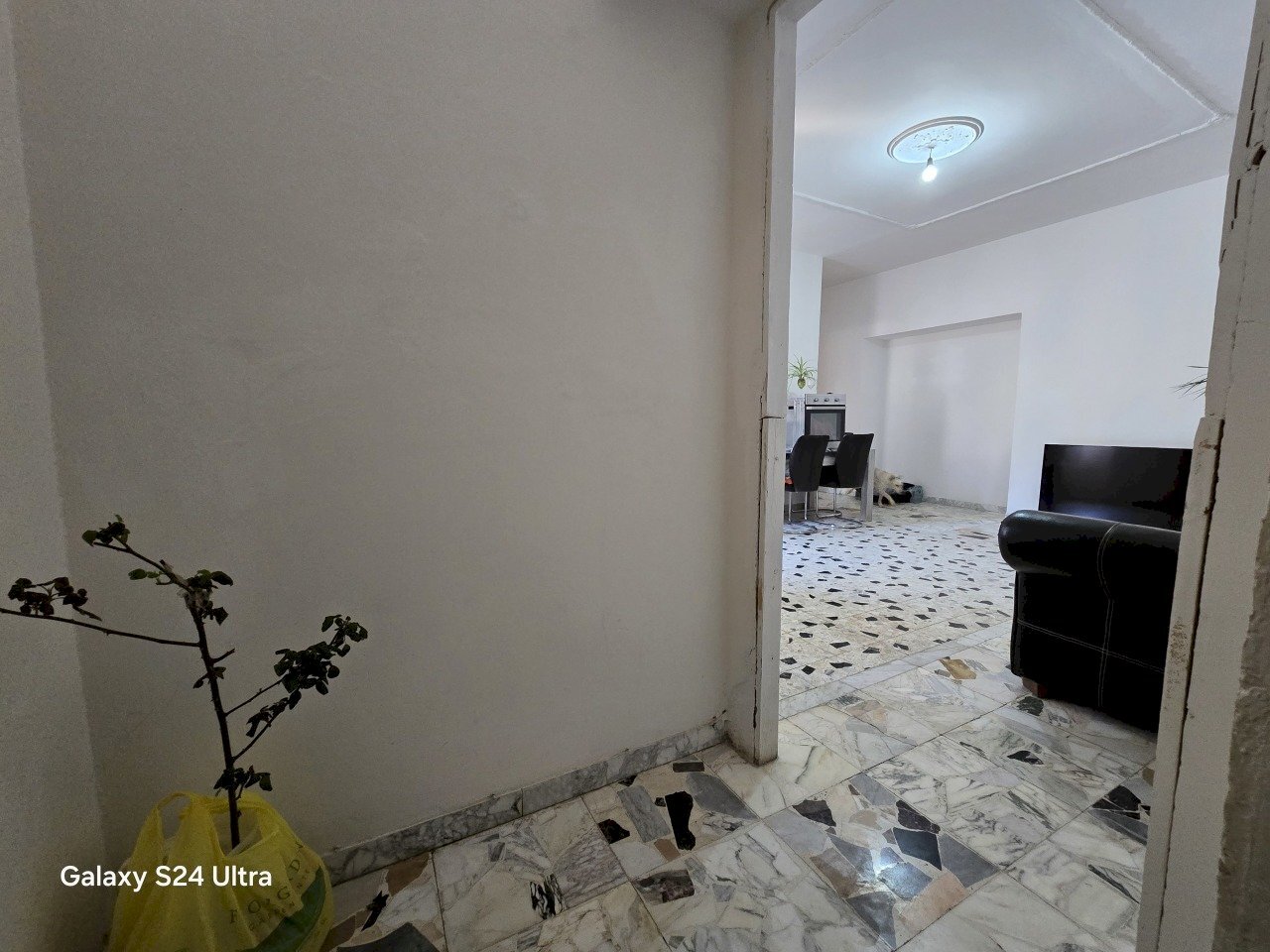 VISTA DA INGRESSO.jpg - Appartamento VIA GIOACCHINO ROSSINI 1, Alghero - foto 2