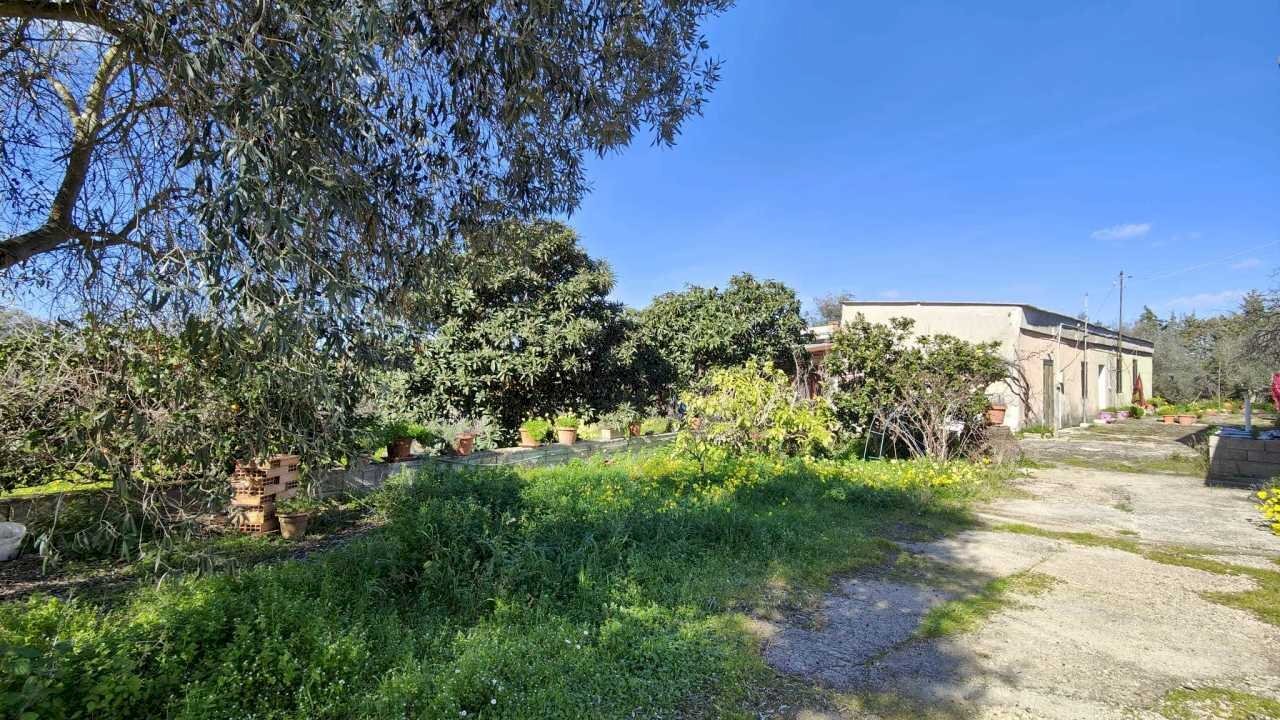 IMG-20240306-WA0002.jpg - Rustico Sassari - foto 3