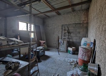 IMG20231218104411.jpg - Rustico Sassari - foto 13