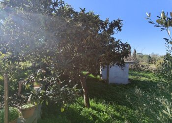 IMG20231218104719.jpg - Rustico Sassari - foto 14