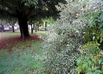 Villa Via Idris Ricci, Copparo - foto 43