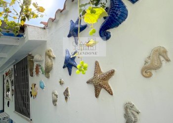 Single Family Villa San Felice Circeo - photo 11