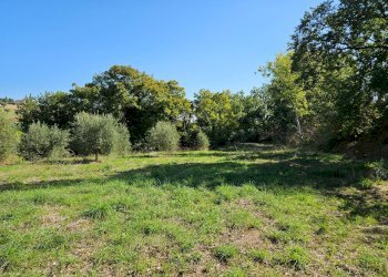 Terreno edificabile Cupra Marittima - foto 3