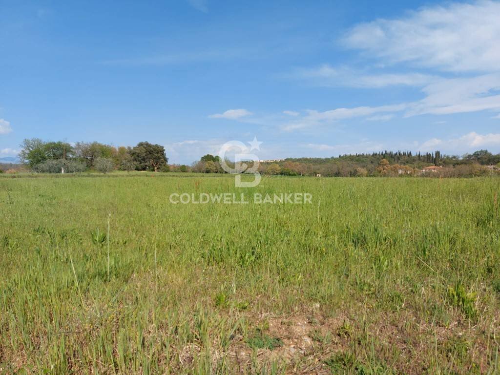 Building land Muscoline - photo 1