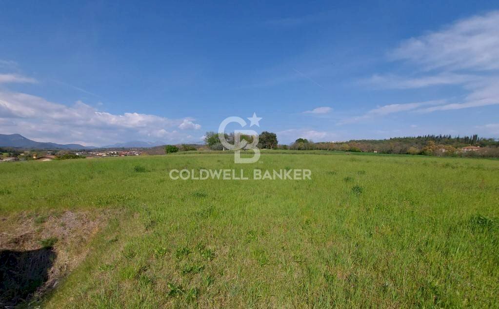 Building land Muscoline - photo 2