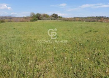 Terreno edificabile Muscoline - foto 5