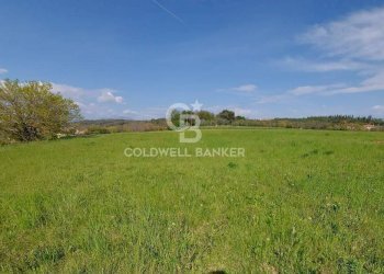 Terreno edificabile Muscoline - foto 7