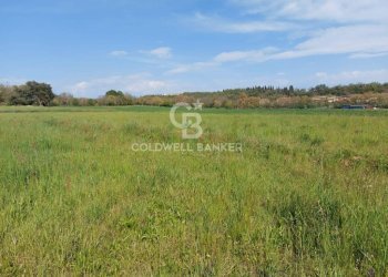 Terreno edificabile Muscoline - foto 9