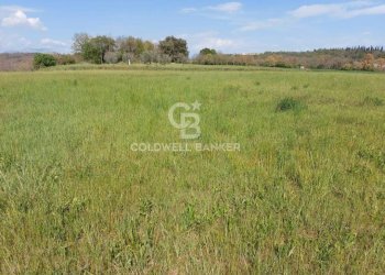 Terreno edificabile Muscoline - foto 10