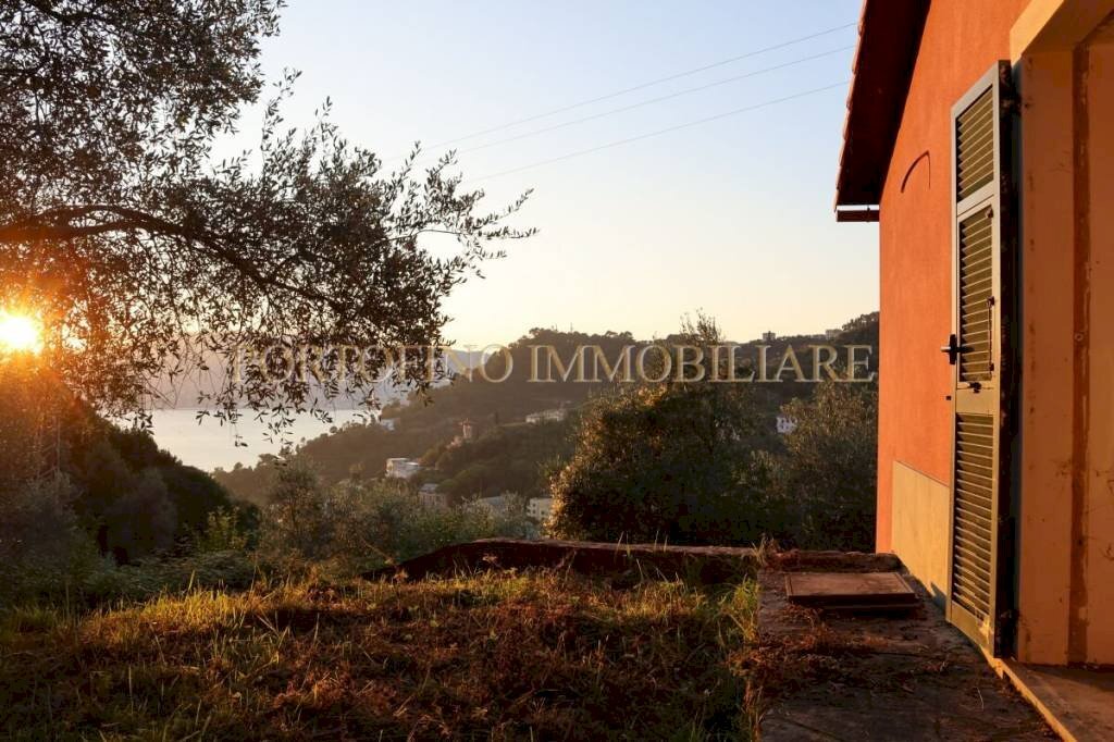 Vista - Villa piazza 27 Dicembre, Zoagli - photo 1