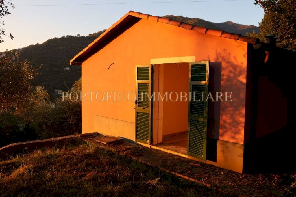 Facciata - Villa piazza 27 Dicembre, Zoagli - photo 2