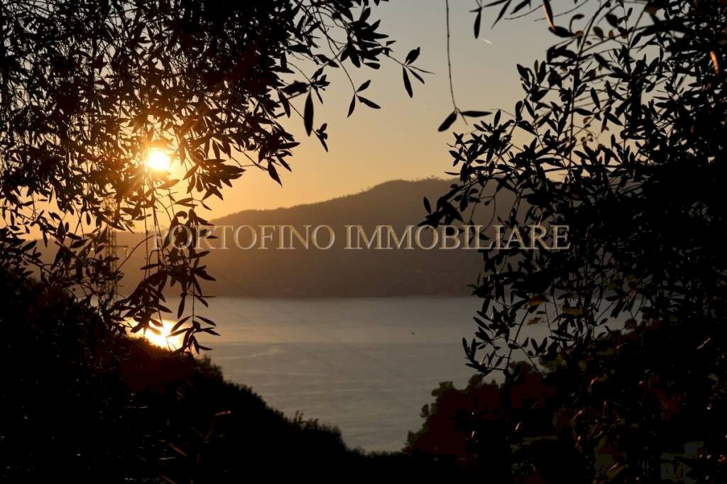 Vista - Villa piazza 27 Dicembre, Zoagli - photo 3