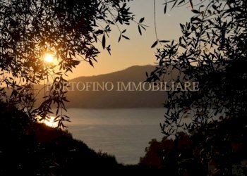 Vista - Villa piazza 27 Dicembre, Zoagli - foto 3